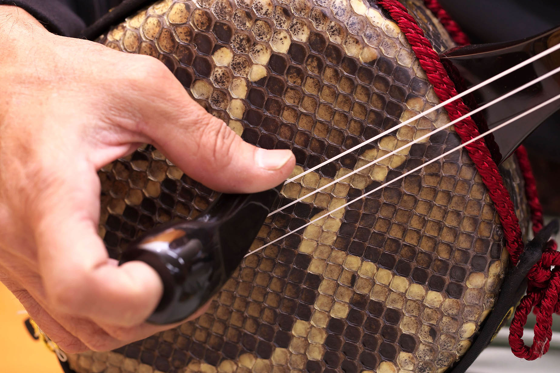 Sanshin. Instrumento de tres cuerdas, cubierto de piel de serpiente.